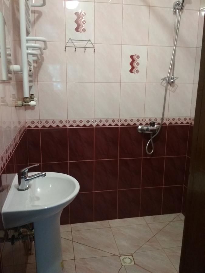Гостевой дом Milana Guesthouse Славское-27