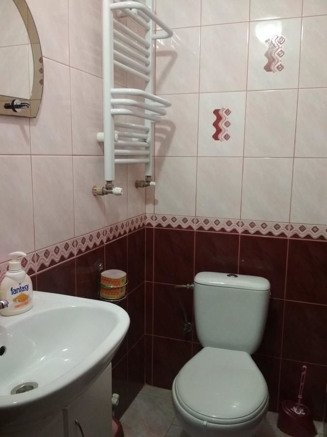 Гостевой дом Milana Guesthouse Славское-28